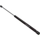 Gasfeder, Koffer-/Laderaum 12-0312
