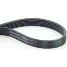 ContiTech Keilrippenriemen 6PK800