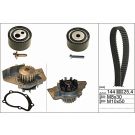 INA Wasserpumpe + Zahnriemensatz 530 0474 30