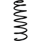 Spidan 2 x SPIDAN Fahrwerksfeder 86811