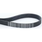 ContiTech Keilrippenriemen 6PK1029 ELAST