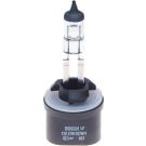 Glühlampe, Nebelscheinwerfer 1 987 302 024 Glühlampe, Nebelscheinwerfer 1 987 302 024
