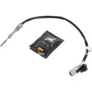Sensor, Abgastemperatur 707432