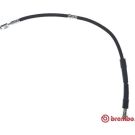 Brembo 2 x BREMBO Bremsschlauch ESSENTIAL LINE T 85 158