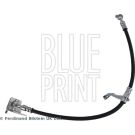 Blue Print Bremsschlauch ADBP530031