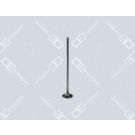 OE Germany Auslassventil 01 0520 470003