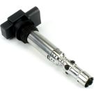 BorgWarner (BERU) Zündspule ZSE059