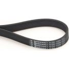ContiTech Keilrippenriemen 6PK1256