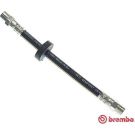 Brembo Bremsschlauch ESSENTIAL LINE T 85 018