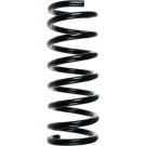 Spidan | Fahrwerksfeder | 48809