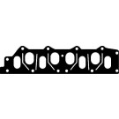Corteco | Dichtung, Ansaug-/Abgaskrümmer | 424601P