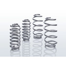 E30-79-013-06-22 Fahrwerkssatz, Federn Eibach Pro-Lift-Kit