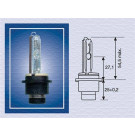 Magneti Marelli | Glühlampe | 002541100000