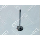 06 0520 XF9500 Einlassventil