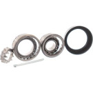 SKF VKBA 3519 Radlagersatz 50,3mm