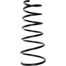 Spidan | Fahrwerksfeder | 55219