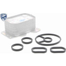 V25-60-0025 Ölkühler, Motoröl EXPERT KITS + V25-60-0025 Ölkühler, Motoröl EXPERT KITS +