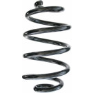 Spidan | Fahrwerksfeder | 87451