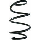 Spidan | Fahrwerksfeder | 87432