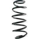 Spidan | Fahrwerksfeder | 87024