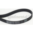 ContiTech | Keilrippenriemen | 6PK1400
