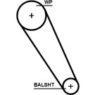 Gates | Zahnriemen | 5698XS