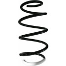 Spidan | Fahrwerksfeder | 87227