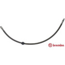Brembo | Bremsschlauch | T 61 050