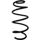 Spidan | Fahrwerksfeder | 87702