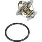 NRF | Thermostat, Kühlmittel | 725036