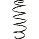 Spidan | Fahrwerksfeder | 55339