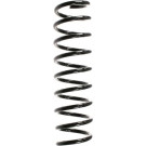 Spidan | Fahrwerksfeder | 49758