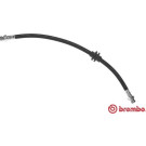 Brembo | Bremsschlauch | T 68 049