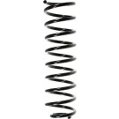 Spidan | Fahrwerksfeder | 49343