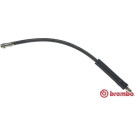 Brembo | Bremsschlauch | T 68 061