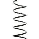 Spidan | Fahrwerksfeder | 55753