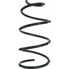 Spidan | Fahrwerksfeder | 55231