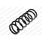 4288911 Fahrwerksfeder