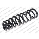 4055460 Fahrwerksfeder