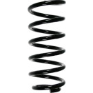 Spidan | Fahrwerksfeder | 56879