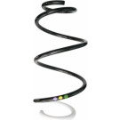 Spidan | Fahrwerksfeder | 87871