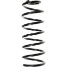 Spidan | Fahrwerksfeder | 55067