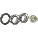 SKF | Radlagersatz | VKBA 3666