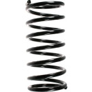 Spidan | Fahrwerksfeder | 55766