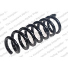 4227649 Fahrwerksfeder