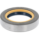 12001889B Wellendichtring, Differential