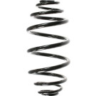 Spidan | Fahrwerksfeder | 55978