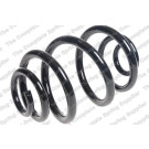 5295027 Fahrwerksfeder