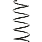 Spidan | Fahrwerksfeder | 55749