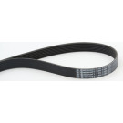 ContiTech | Keilrippenriemen | 7PK1104 ContiTech | Keilrippenriemen | 7PK1104